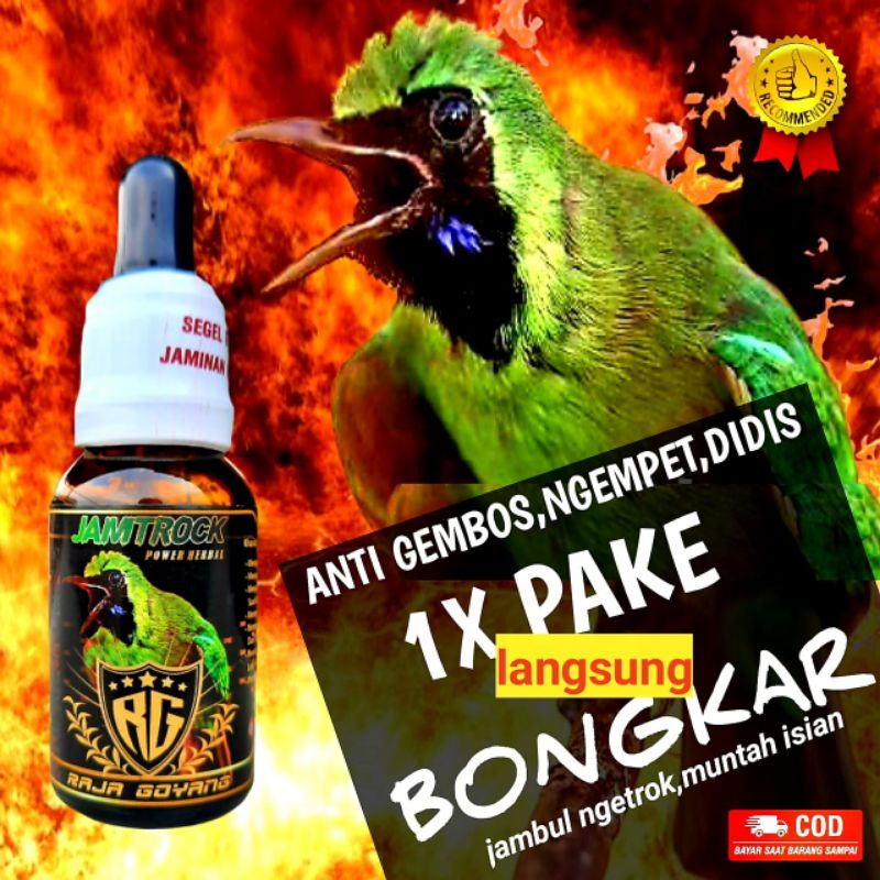 Oil Booster JAMTROCK Cucak Hijau Raja Goyang (RG) termurah bisa Cod 100% produk Original