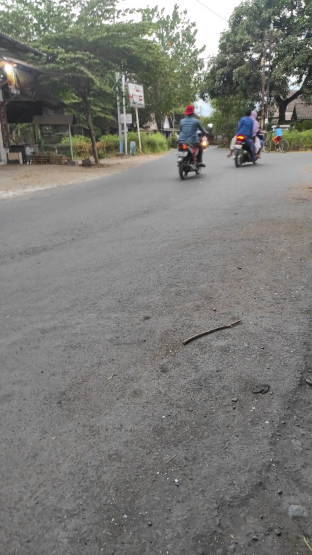 Couple Batik Pinguin Saskia