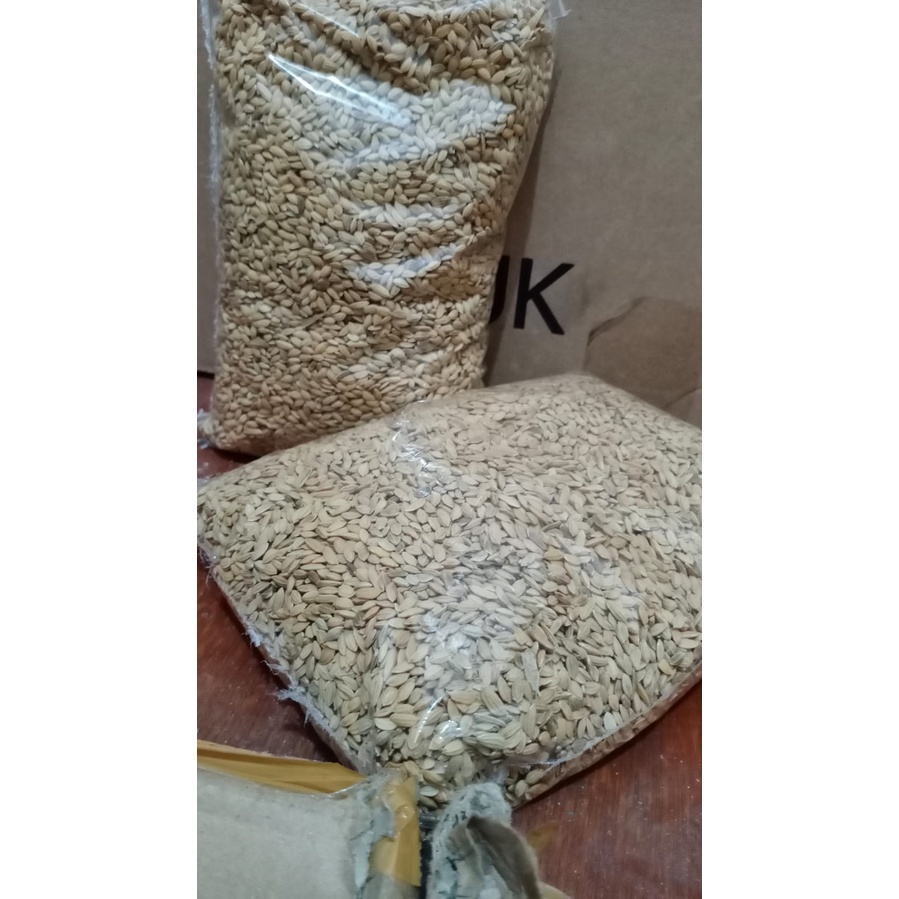 GABAH BANGKOK UNTUK PERKUTUT LOVEBIRD AYAM PETARUNG 500GRAM