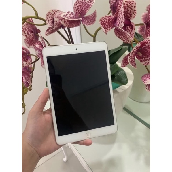 Ipad mini 2 second