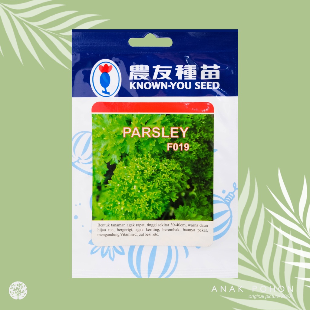 (1 PACK) Benih PARSLEY F019 Peterseli Keriting Hijau Herb Seeds - Known You Seed KYS - 5 GRAM