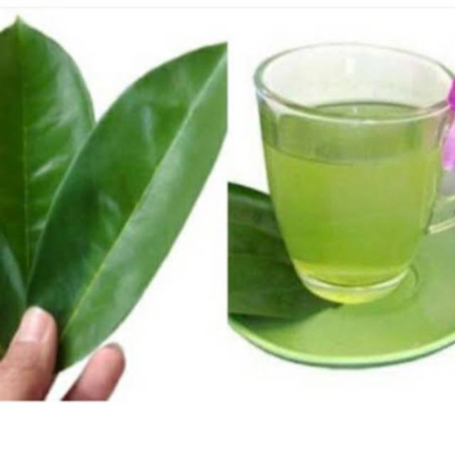 

Daun sirsak per lembar