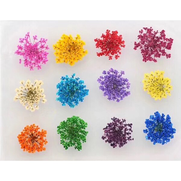 Bunga kering nailart nail art dry flower 12 warna Produk Good Quality