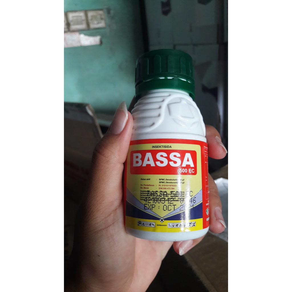 Bassa 500 EC 100 ml insektisida