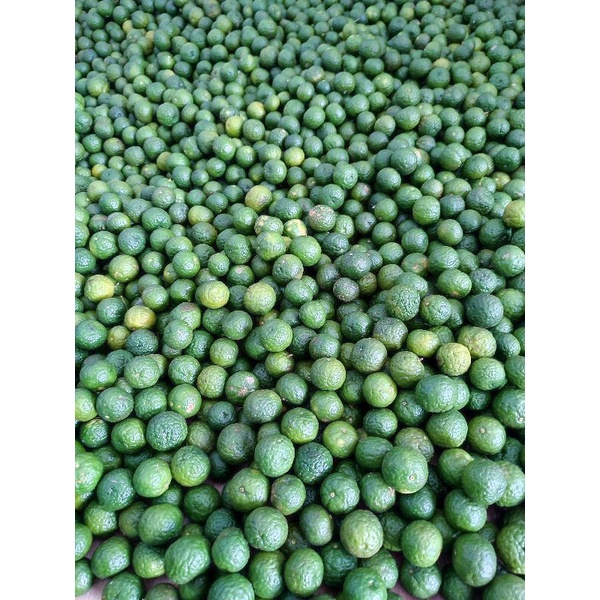 

jeruk limau per 3kg