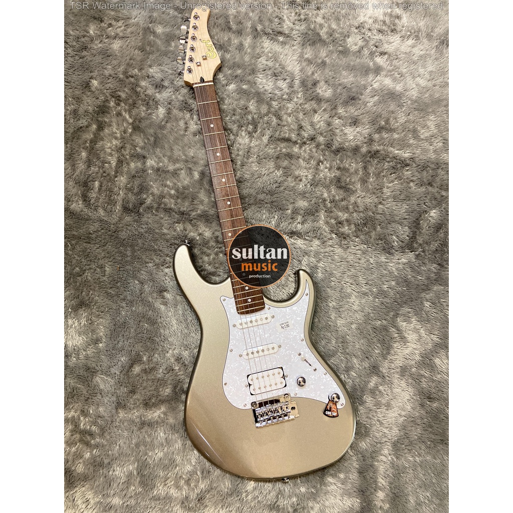 Gitar Elektrik Cort G250 SVM