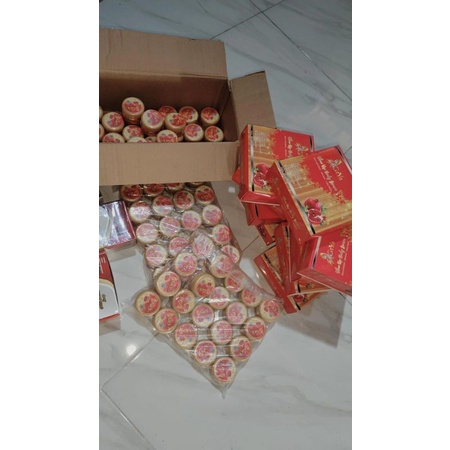 grya beaty dna salmon