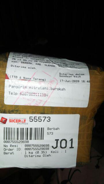 Zat Pengatur Tumbuh (zpt) Rootone F