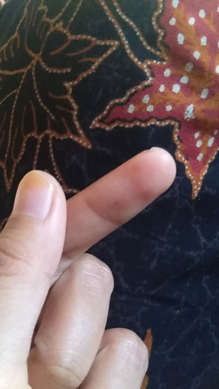 Batu Alam/ Batu Hias Bahan Dekorasi 500 Gr