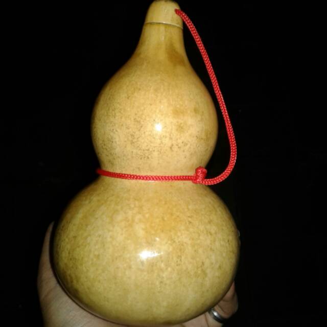 Labu botol kering (gourd bottle) natural