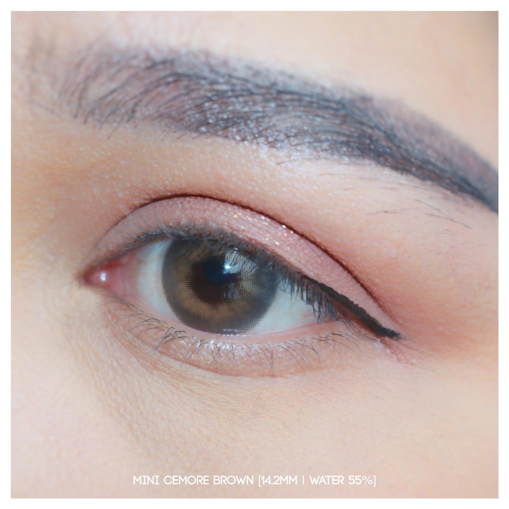 Softlens Cemore Brown | Kittykawaii [Mikhayloveshop]
