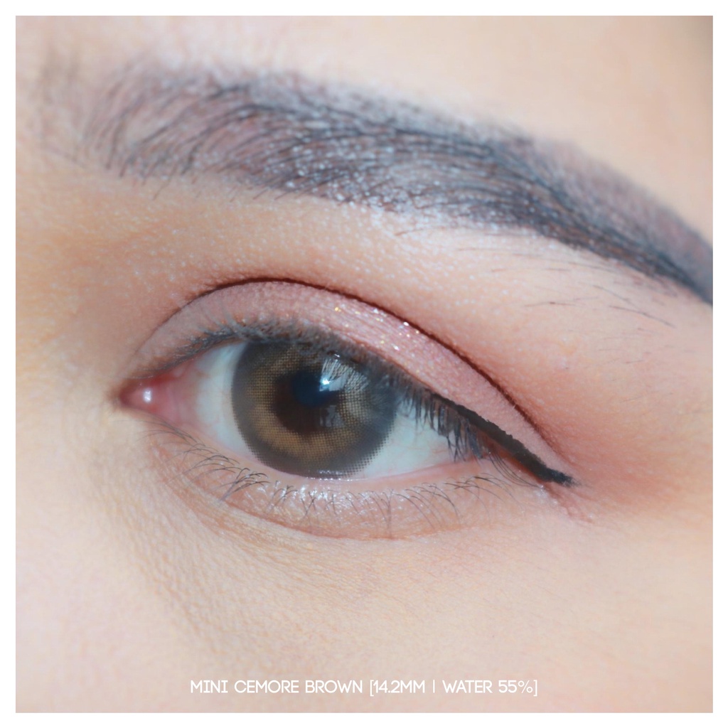 Softlens Cemore Brown | Kittykawaii [Mikhayloveshop]