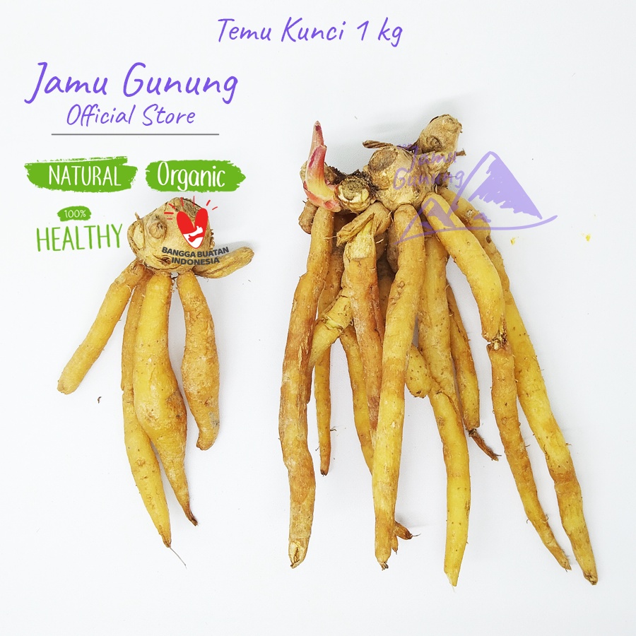 

Temu Kunci Segar 1kg Organik - Bumbu Sayur Bening dari Gunung Kidul