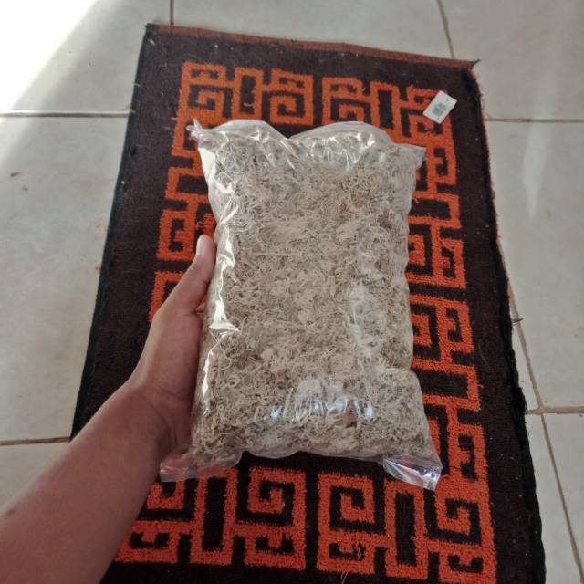 Spagnum mos 100g (mos putih)