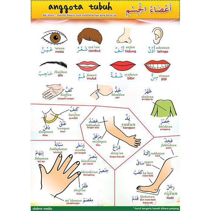 Poster Edukasi Murodat Bahasa Arab Untuk Anak Anak Al Abror Media Mufradat Shopee Indonesia