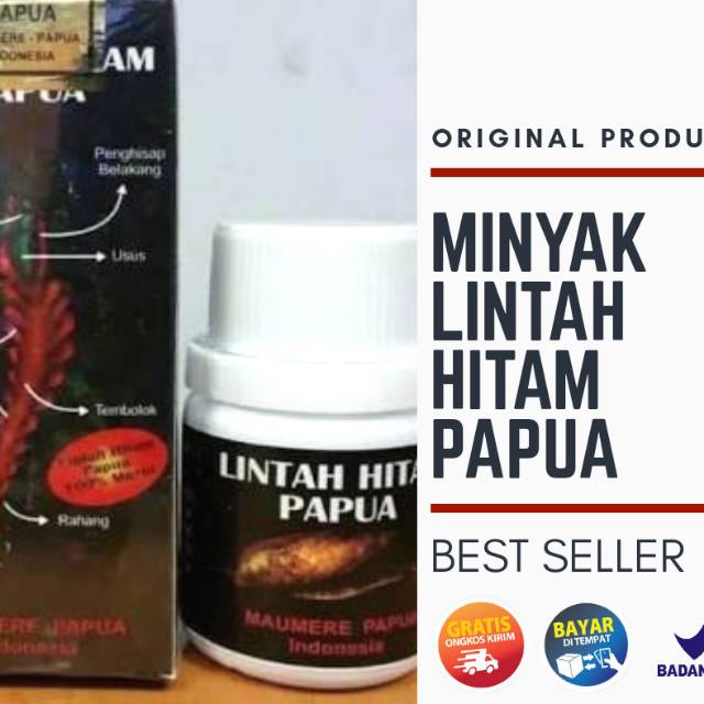 LINTAH_HITAM PAPUA