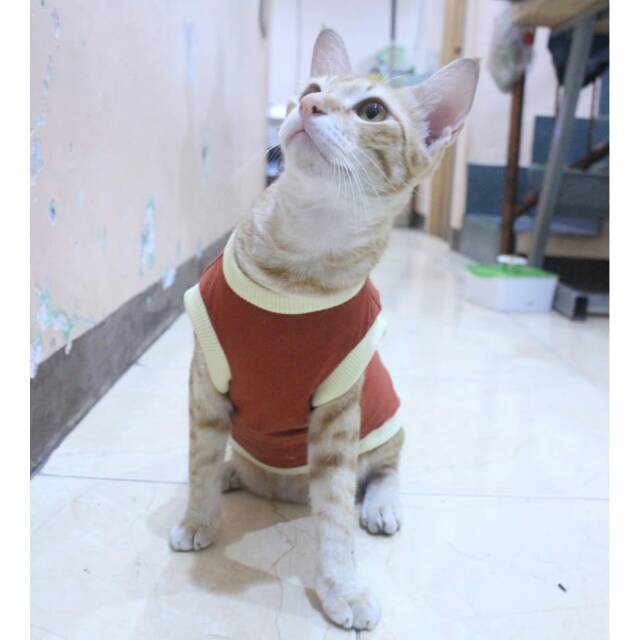 Kaos polos coklat untuk kucing &amp; anjing /Jual Baju Kucing Terlengkap &amp; Berkualitas size S-XL