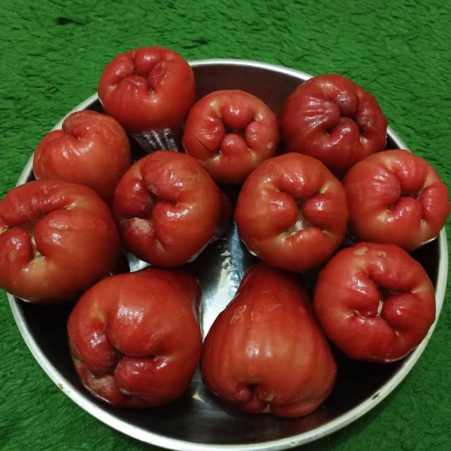 

Jambu Air Cincalo