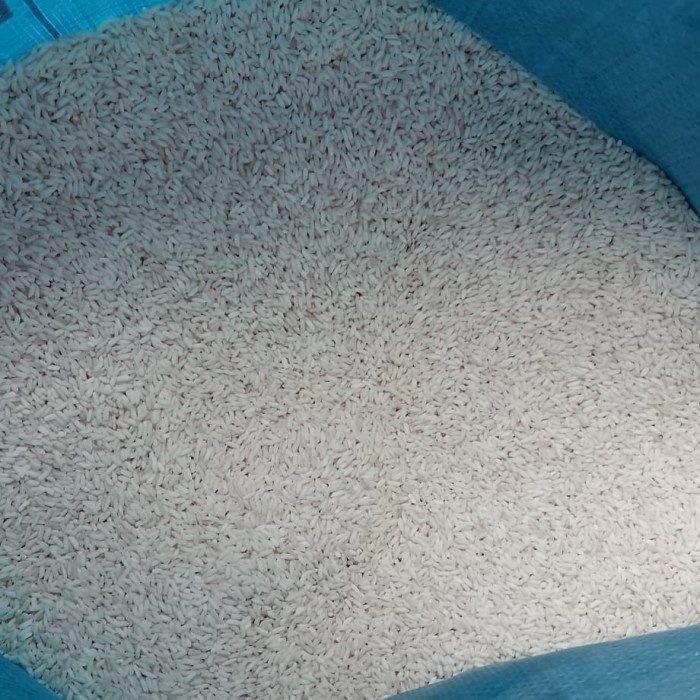 

KETAN-BERAS- BERAS KETAN PUTIH VIETNAM SUPER ½KG -BERAS-KETAN.