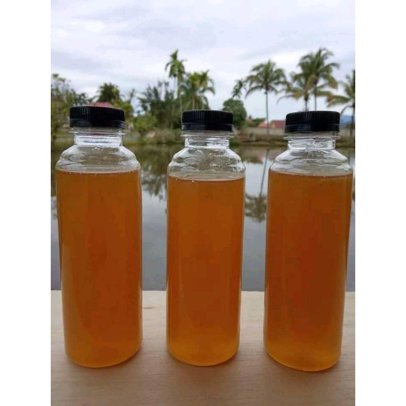 

madu hutan 100% murni