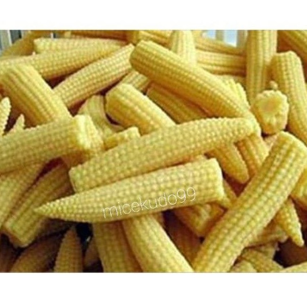 

JAGUNG MUDA SEGAR / FRESH BABY CORN / JAGUNG ACAR PUTREN