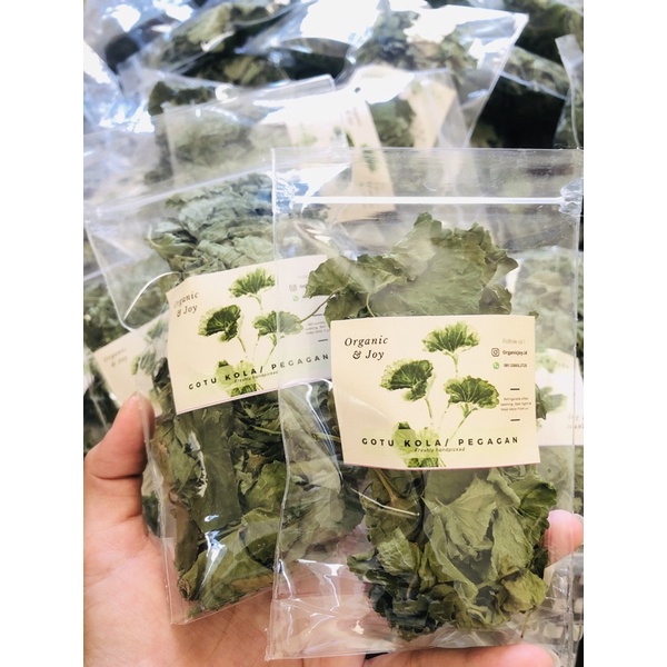 Organic&amp;Joy • Gotu Kola Leaf Tea /Teh Pegagan/Antanan (Premium Daun bersih,anti Alzheimer,Penyembuh luka)