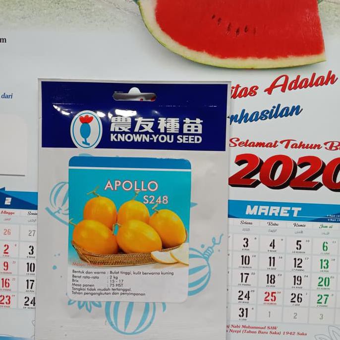 Melon Golden Apollo S248 Known You Seed