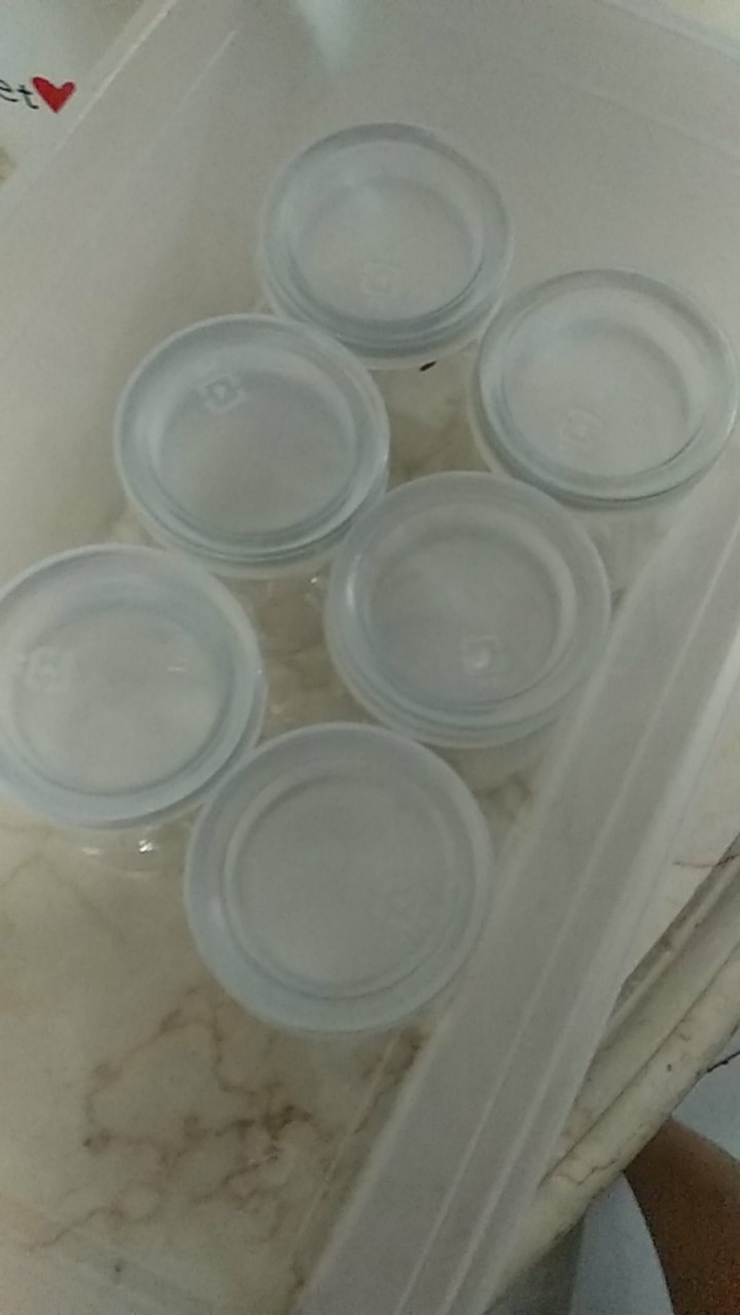 Toples Jar Kaca Pudding 100ml Mini Gelas Serbaguna Dessert Kue