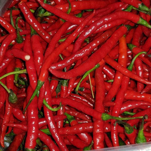 

Cabe Merah Keriting 1 Kg