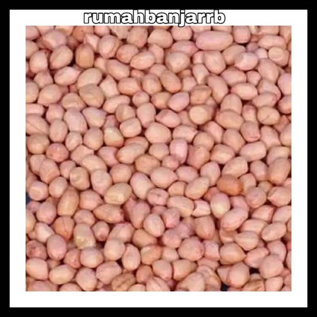 

[BAYAR DI TEMPAT] KACANG TANAH ASLI INDIA 250 GRAM