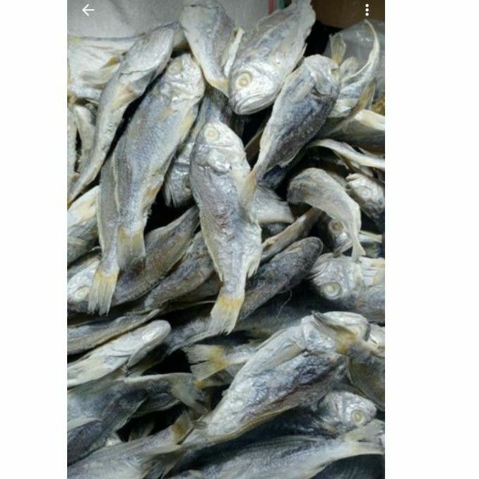 

ikan asin kepala batu Medan