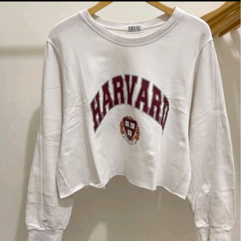 Sweater Wanita Oversize Harvard Sweater Oversize Crop