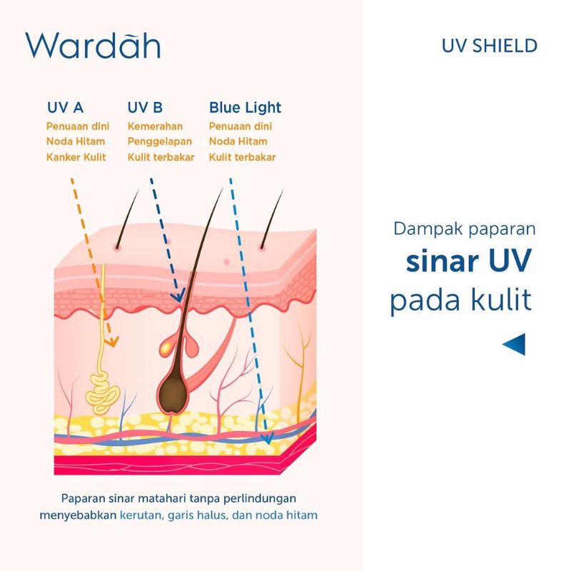 Wardah sunscreen spf 30 uv shield 40ml