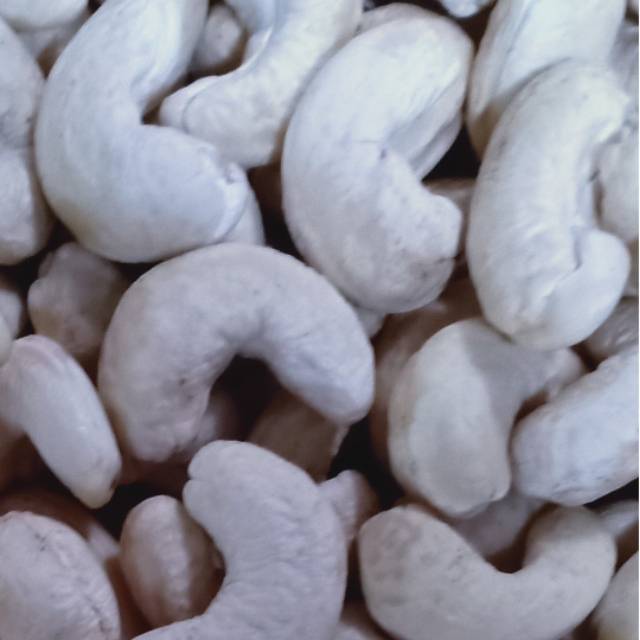 

Mede Mentah Super Kwalitas No.1