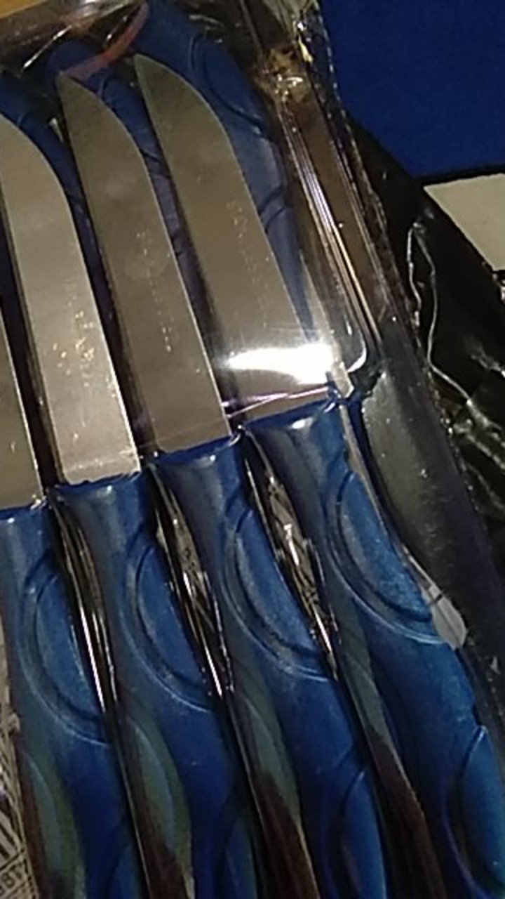 Pisau Buah Stainless Set Isi 12 Pcs Pisau Dapur Mini Pisau