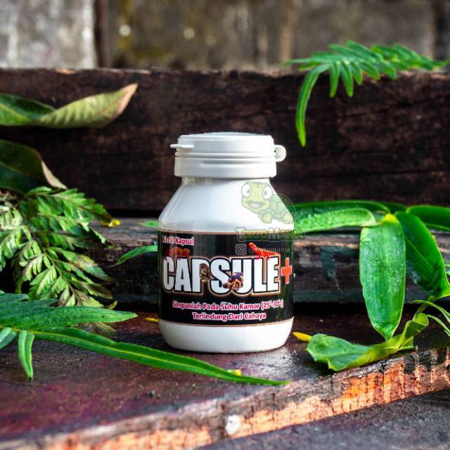 Capsule+ / suplement obat reptil / suplement obat kura darat / obat sakit reptil tortoise kura darat