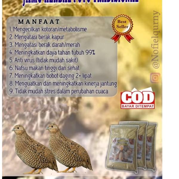 

Obral NYEOR EJHU oreginal asli bukan kw untuk peternak puyu petelur