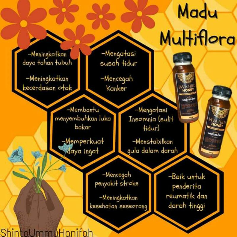 

MADUMURNI MADU MULTIFLORA 500 GRAM RAW HONEY PREMIUM HONEY MADU ASLI PREMIUM MADUMULTIFLORA