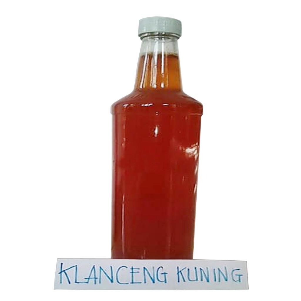 

Madu Klanceng Kuning Asli 100%