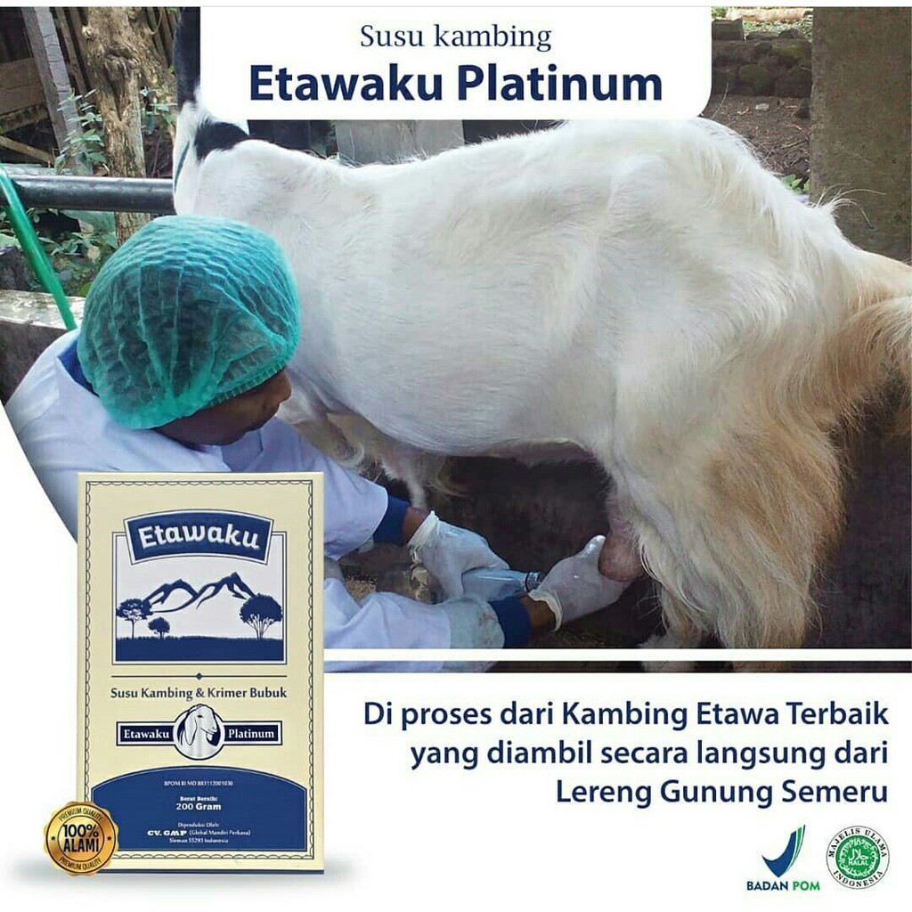 Etawaku Platinum Susu Murni Kambing Etawa Premium Atasi Masalah Pernafasan Asma Bronkitis Indonesia