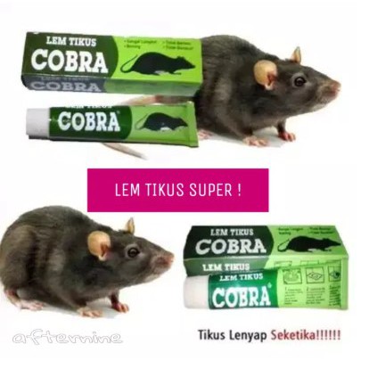 Lem Tikus / Jebakan Tikus / Cobra / Lem Tikus Cobra Super Lengket