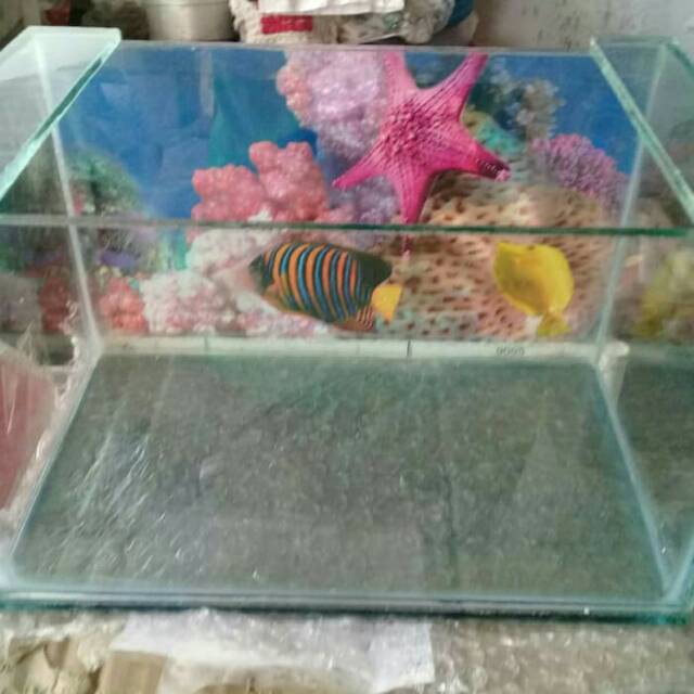 Grab Gojek Aquarium Mini Soliter Ikan Hias Cupang Kura2 Akuarium