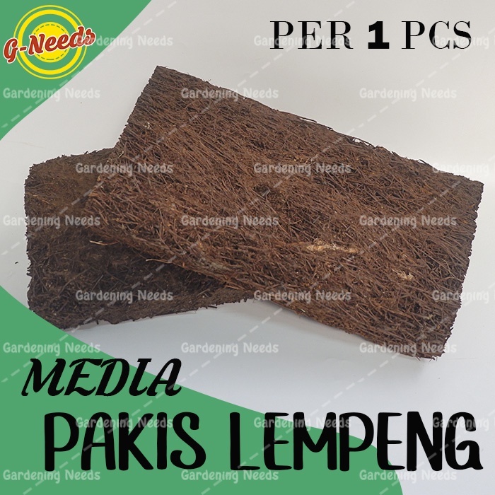 Media Pakis Lempeng / Media Anggrek / Pakis Kotak