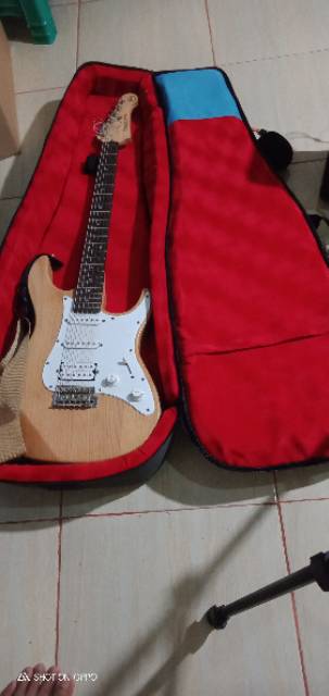 Gigbag untuk Gitar Akustik  Akustik elektrik dan Efek Merk Rockizz