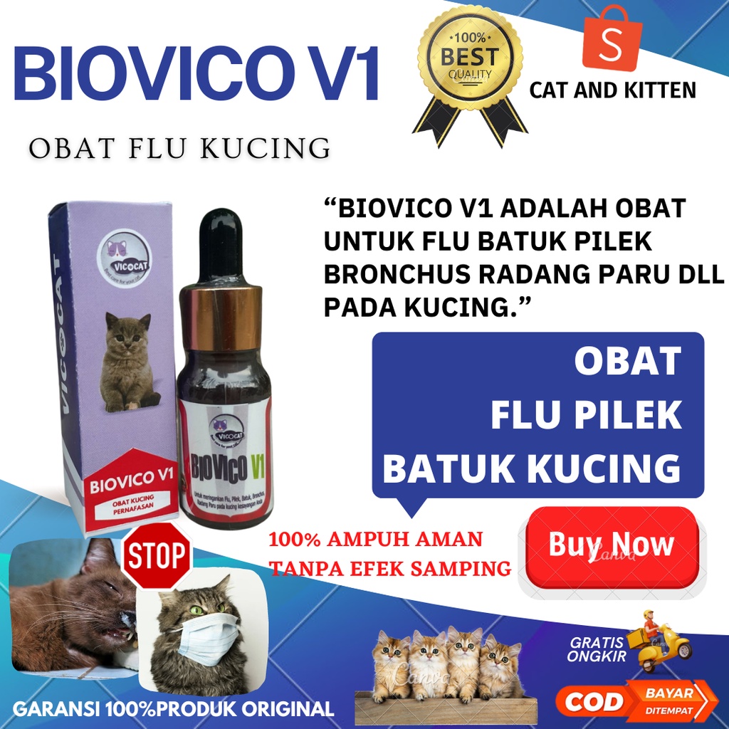 Flu kucing, obat flu batuk dan pilek kucing BIOVICO V1 Obat Batuk Pilek Flu Kucing Antibiotik Bisa U