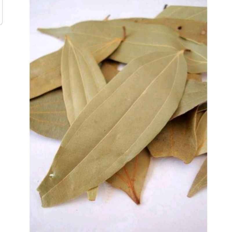 

daun salam india 10 gram