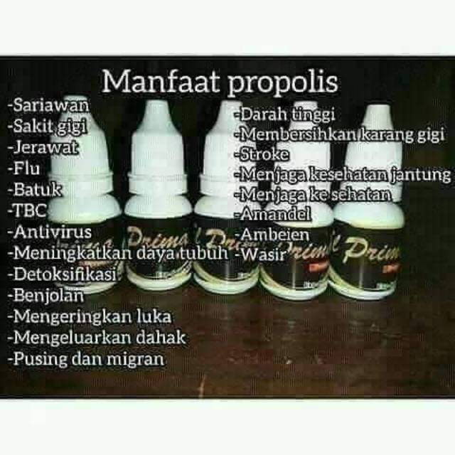 

Saya menjual propolis