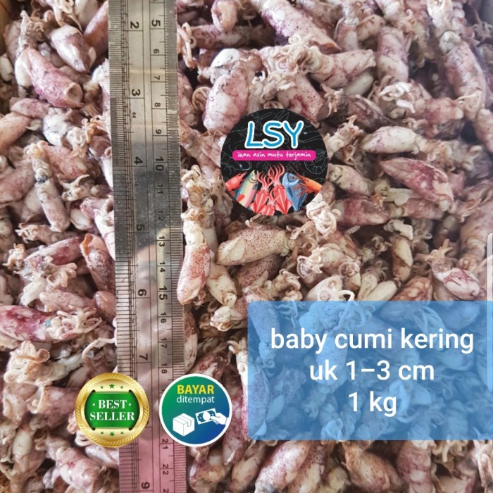 

Q124521 Ikan Asin Cumi Rebus Kering / Baby Cumi 1Kg Dw501Sqs