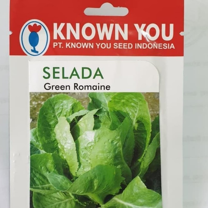 Jual Benih Bibit Selada Letuce Green Romaine Know you seed 5 gr Berkualitas