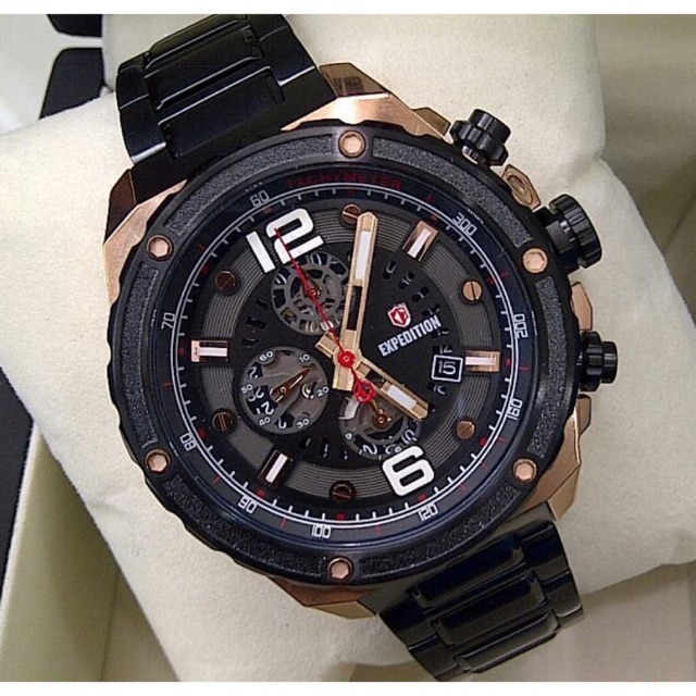 Swiss Expedition E6732